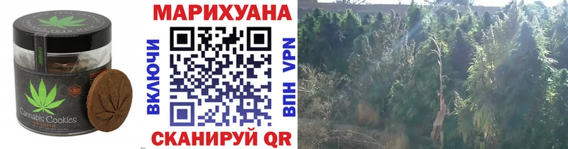 гидра tor  как найти   Гулькевичи  Еда ТГК конопля 