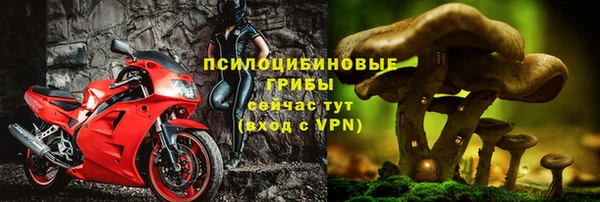 МДМА Белокуриха