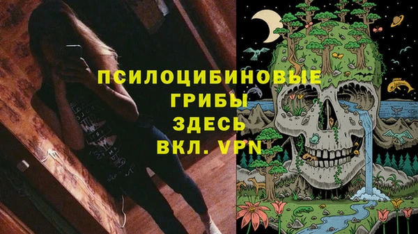 МДМА Белокуриха