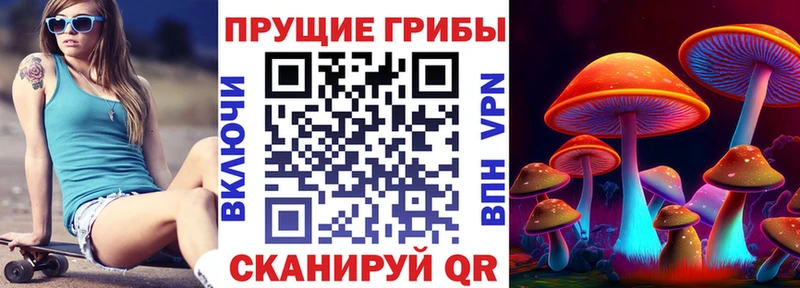 Псилоцибиновые грибы прущие грибы дарк нет формула Гулькевичи где купить наркоту