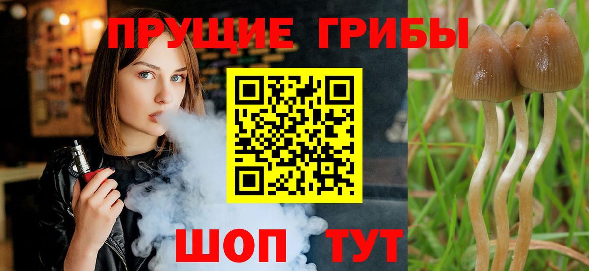 Псилоцибиновые грибы Psilocybine cubensis  Вход с VPN  Гулькевичи 